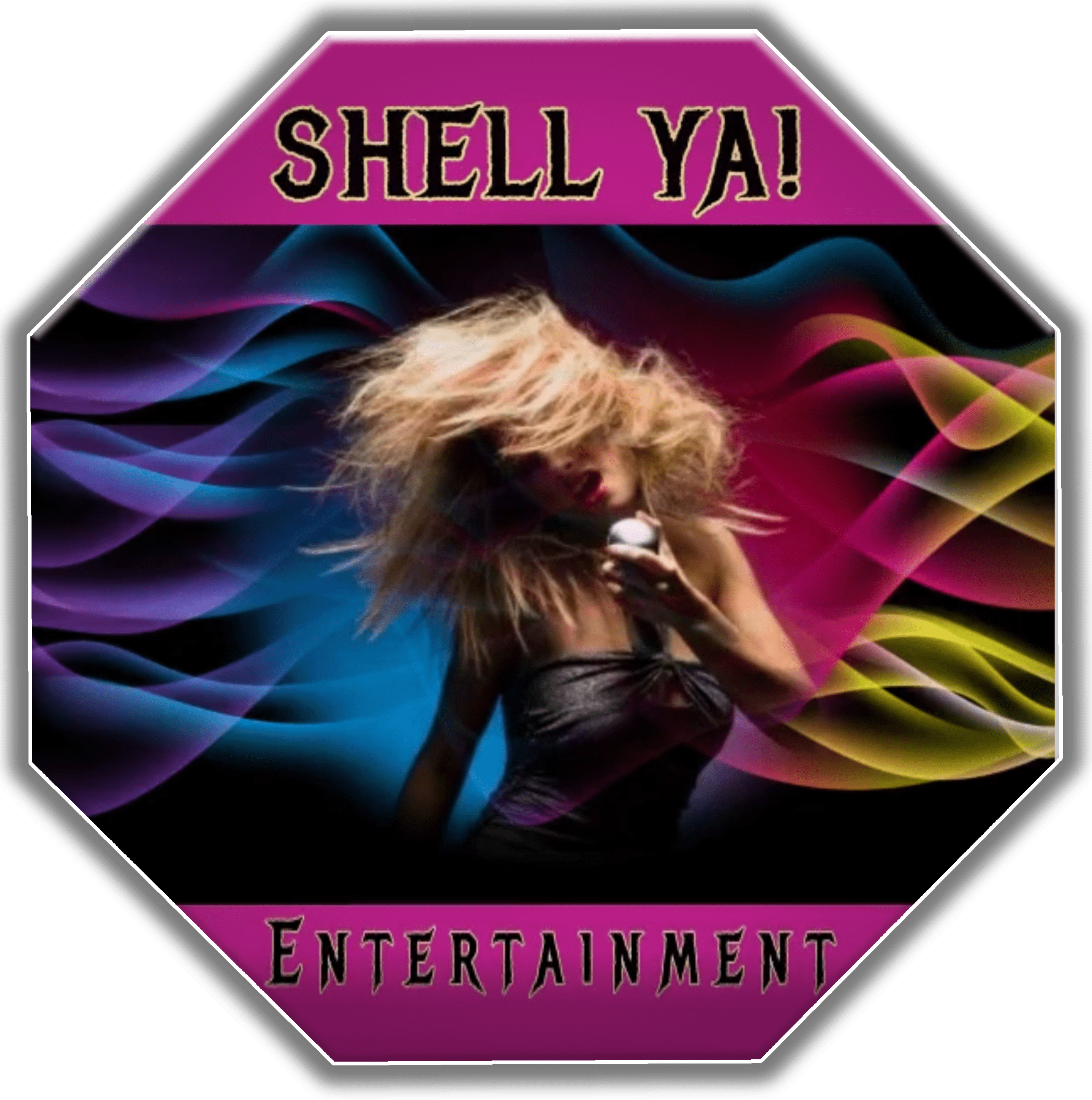 Shell Ya Entertainment Offers Birthday Party Event Services In Sioux shell-ya-entertainment-offers-birthday-party-event-services-in-sioux